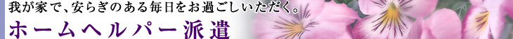 ホームヘルパー派遣